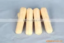 Core Filling Snacks/Puffed Snacks Processing Line photo-4