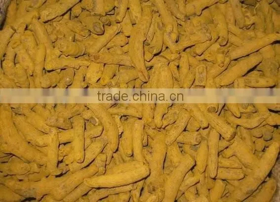 Turmeric Finger