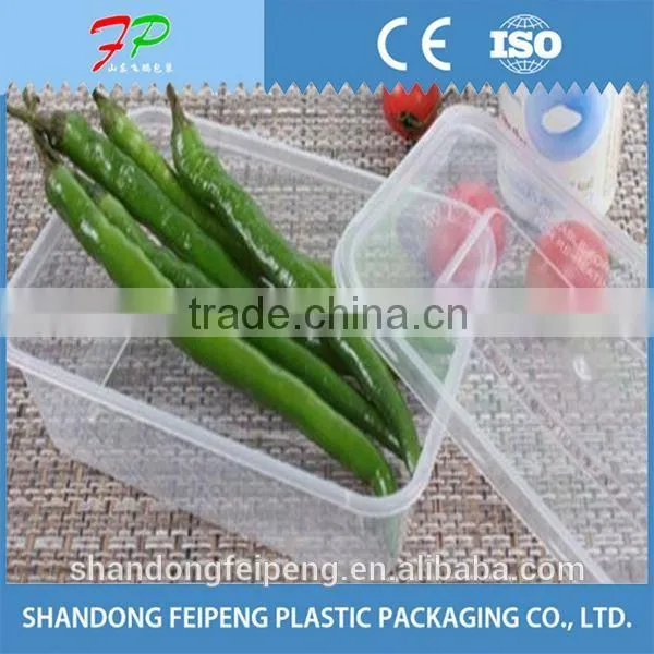 Takeaway Food Container Disposable Use photo-6