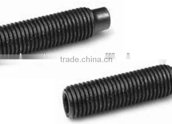 Hex socket set screw with dog point