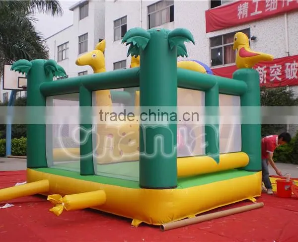 Cartoon Theme 0.55mm Pvc Tarpaulin Commercial Inflatable Bouncer photo-2