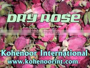 Dry Red Rose photo-5