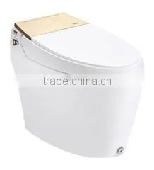 One Piece Toilet Intelligent