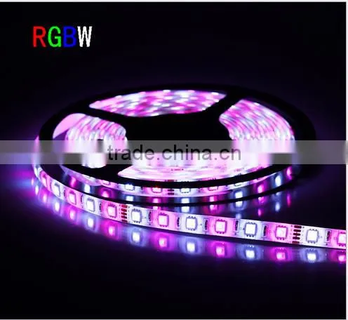 Decorative LED Rope Light RGBW 4color in One Strip 12V 24V Available photo-3