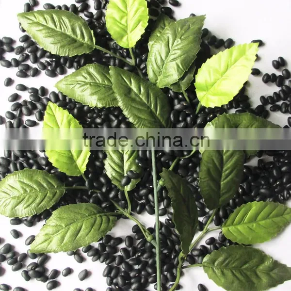 Dired China Bean for Sale in for Black Bean for Sale photo-6
