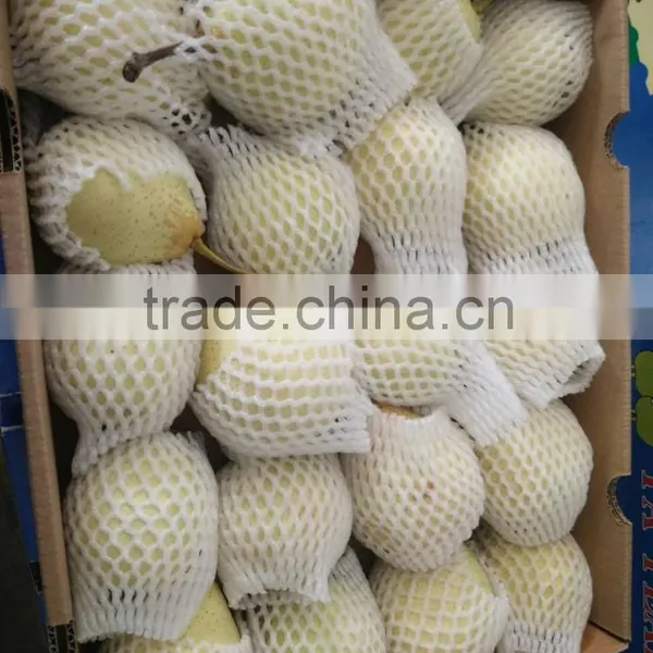 New Crop Thailand Fruit Farm ya Pear photo-3