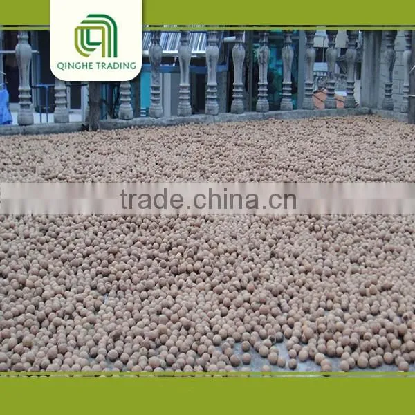 Raw Walnut With Shell and Walnut Kernels Sorting for Sale photo-3