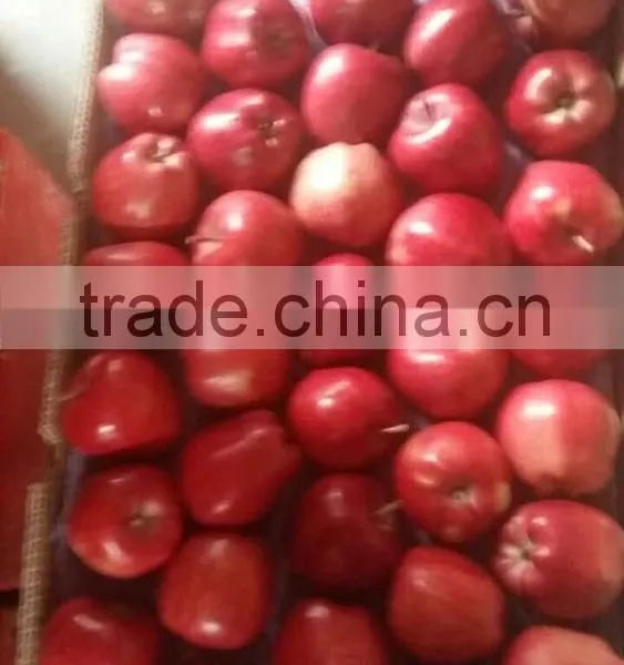 2016 Red Delicious Huaniu Apple photo-2