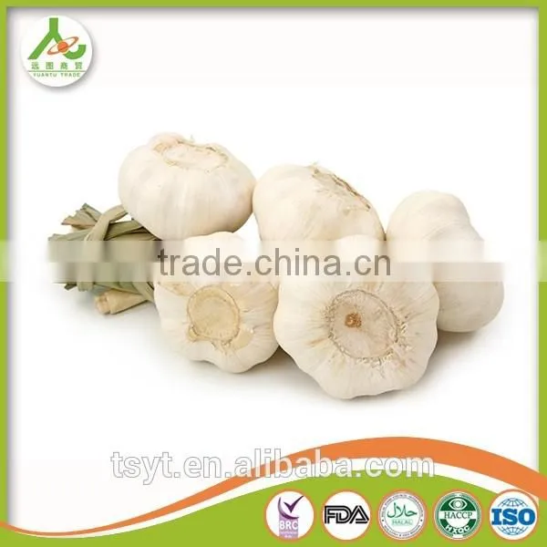 Bulk in Different Packing Fresh Garlic Garlic White Garlic photo-2