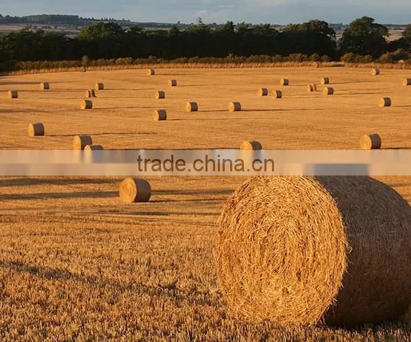 Neweek Agricultural Automatic Round Baler Machine for Grass photo-6
