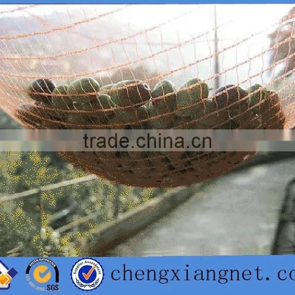 Olive Harvest Net ,agriculture Net for Sale photo-2