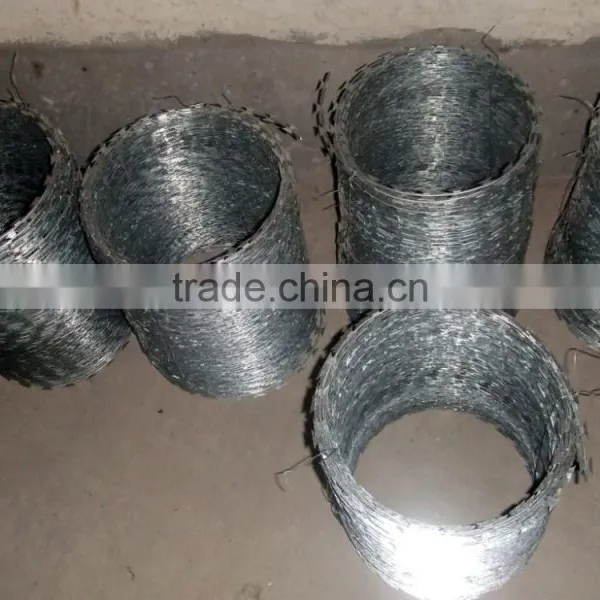 High Quality Low Price Razor Barbed Wire in China ( Manufacturer) photo-6