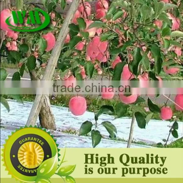 High Quality Silver Reflective Ground Cover Mat photo-3