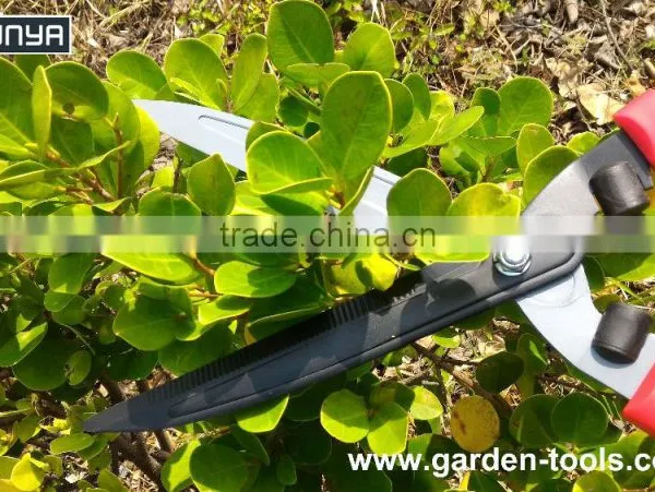 Taiwan Gardening Straight Steel Metal Branch Cutter Hedge Shears photo-4