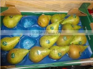 PP Nest Liner For Stone Fruit photo-3
