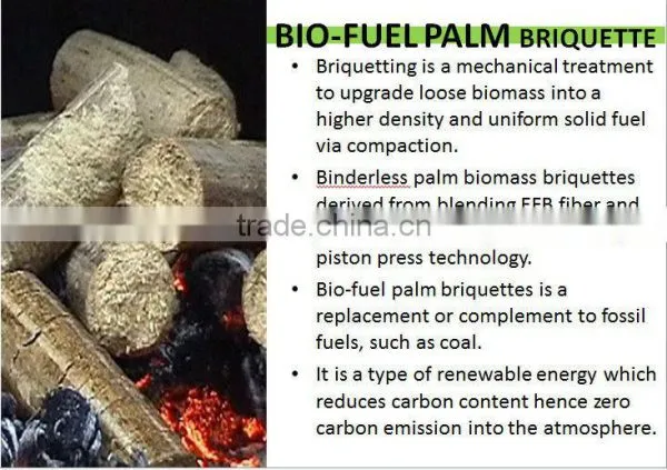 Palm Fiber Briquette photo-6