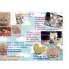 Pine Cat Litter photo-3