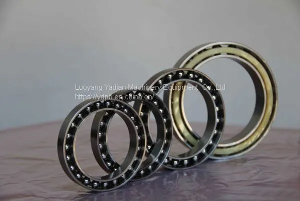 F20 Flexible Roller Bearing Low Friction, High Transmission Efficiency photo-3
