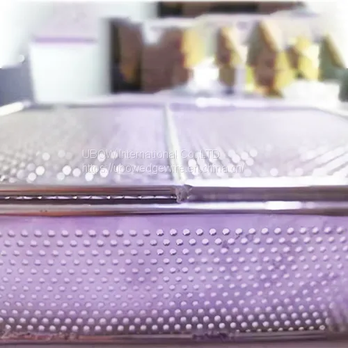 Custom 304 Stainless Steel Medical Disinfection Basket photo-4