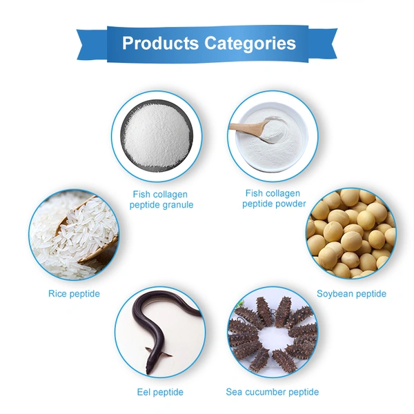 Hainan Huayan Collagen Technology Co., Ltd company overview - view 3