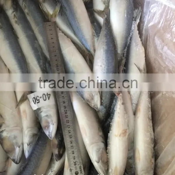 Landing Frozen Pacific Mackerel With Size 80-100 Pcs / 10kg photo-3