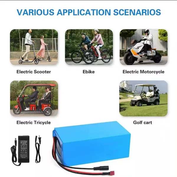 36V 48V 10AH 15Ah E Bike Lifepo4 Lithium Battery for Electric Bicycle Motorcycles