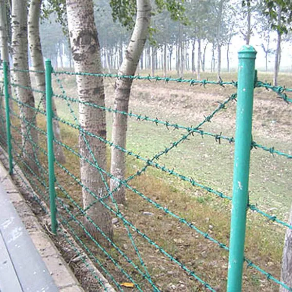 Wholesales Fencing Hot Dipped Galvanized Barbed Wire photo-5