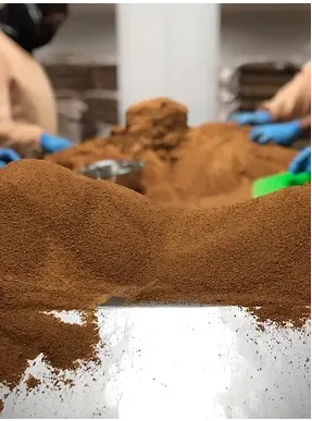 Market Price Coconut Processing Line Coconut Sugar Powder Produce Line photo-4