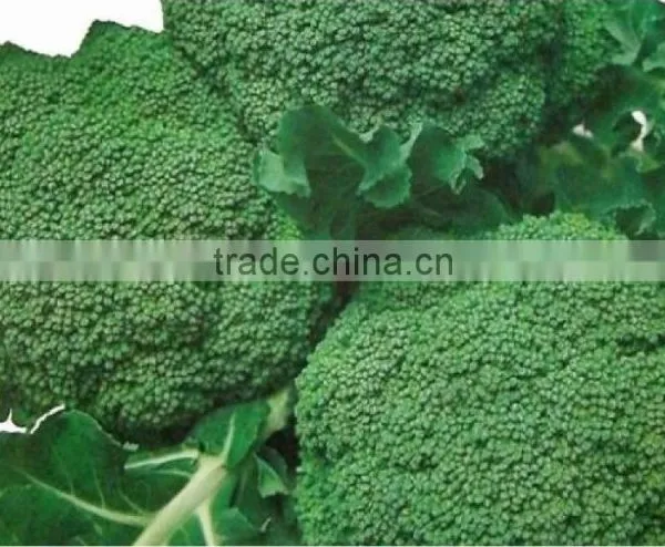 Salad/Vegetable Automatic Multihead Combination Weigher Packing Machine photo-5
