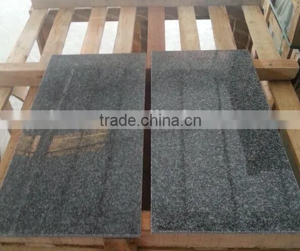 Chinese Cheapest Grey Granite Polished G654 Light Grey Granite Selling photo-5
