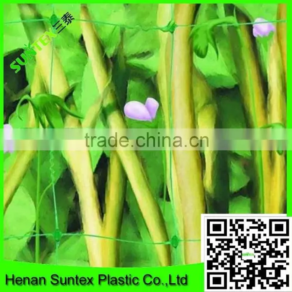 uv Coated Garden Plastic Mesh Tomato Climbing Net photo-3