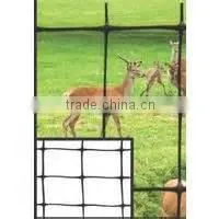 Plastic Mesh Deer Fencing photo-2
