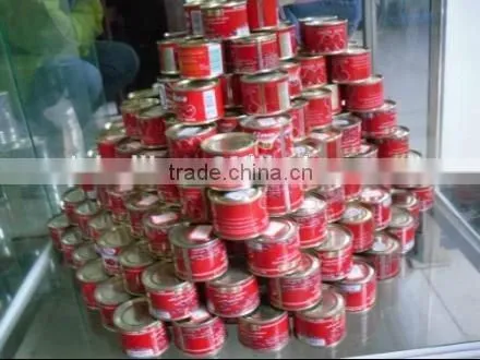 800g Natural Health Tomato Paste,no Additives,normal Can photo-6