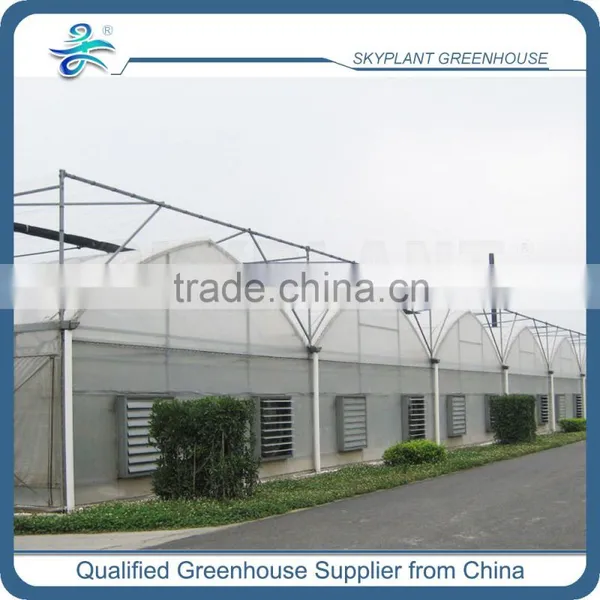Plastic Green House for Garden Vegetables photo-3
