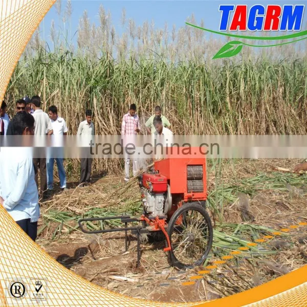 6BZ-5 Mini Sugarcane Machine Leaf Cutter Easy Operation Sugarcane Leaf Remove photo-3