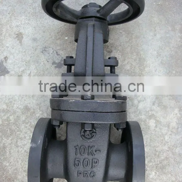JIS10k Cast Iron Metal Seat Gate Valve