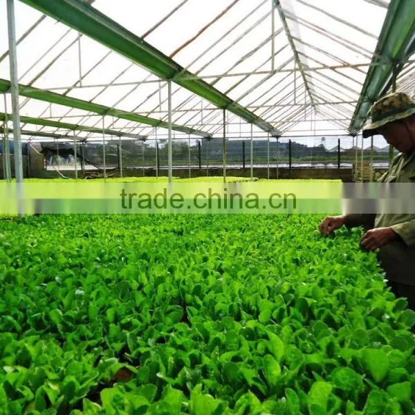 Greenhouse Film photo-2