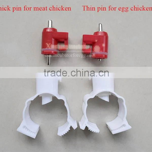 Poultry Drinker Chicken Drinker photo-5