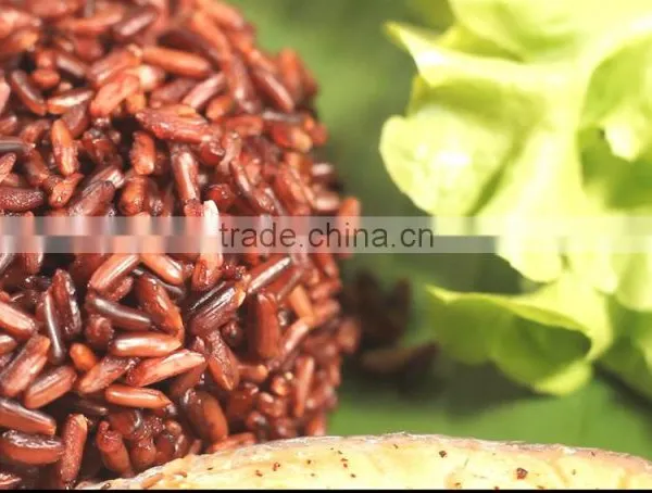 Riceberry Organic Rice photo-5