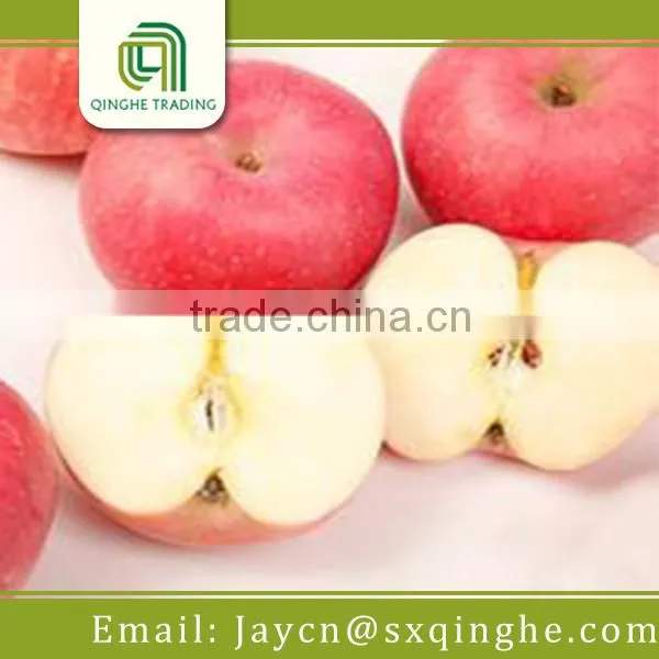 Fruit Fresh Fuji Apple Wholesale Distributors