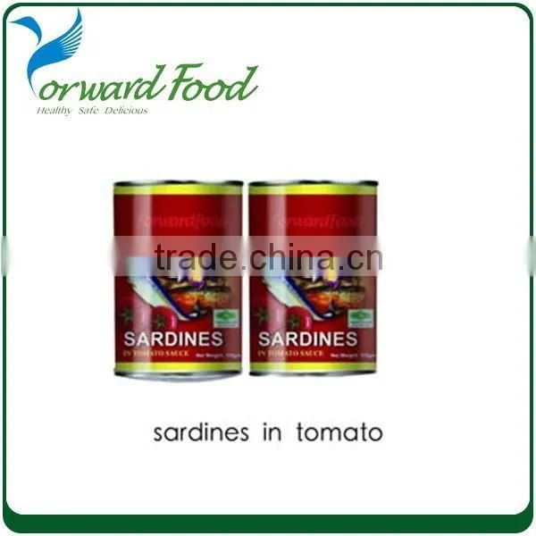 Canning Sardines China Sardine photo-4