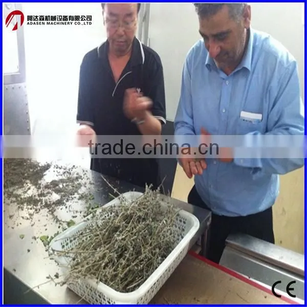 Tunnel Thyme Dryer/High Efficiency Thyme Leaves Drying Machine photo-6