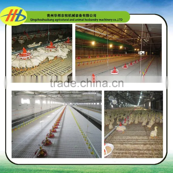 China Supply Plastic Chicken Slat Floor on Sale
