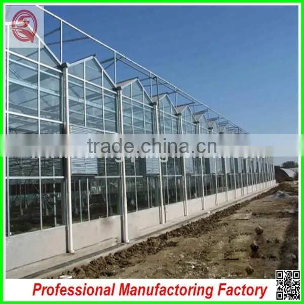 Hot Sale 9.6m Multi-span Agriculture Glass Greenhouse Grow Tent for Planting photo-6