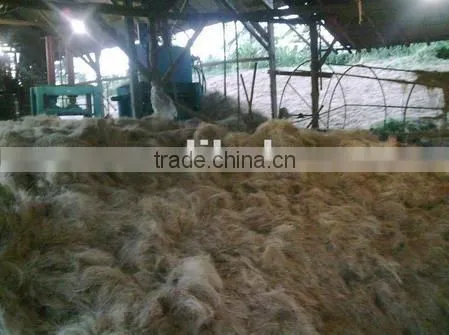 Coco Fiber With High Quality