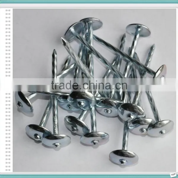 E.G. Umbrella Head Roofing Nails With Low Price From China photo-6