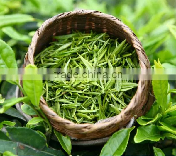 Organic Chunmee Tea, Chunmee Special, Grade Special 41022 photo-2