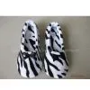 Ballet Shoe