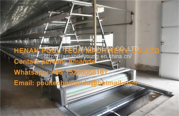 Cameroon Poultry Farm A Frame Automatic Small Chicken Cage & Pullet Coop With Nipple Drinker & Drop Cup in Chicken Shed photo-3