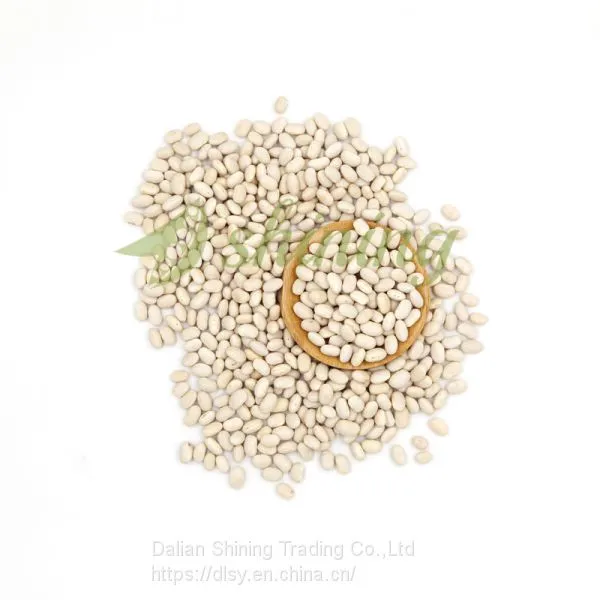Lowest Price Japanese Round Type White Kidney Beans